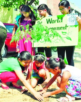 Green hands: Young girls plant a sapling in a garden in Patiala on World Environment Day on Thursday