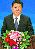Chinese President Xi Jinping speaks at the the sixth ministerial meeting of the China-Arab Cooperation Forum in Beijing