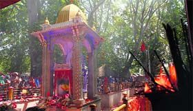 Kashmiri Pandits pray during the annual Kheer Bhawani Mela in Tullamulla, near Srinagar, on Friday.