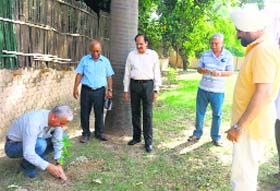 Officials plant trees at the Institute of Town Planners, Punjab and Chandigarh Chapter, in Chandigarh on Saturday