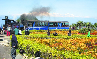 The toy train at Batasia loop, near Darjeeling