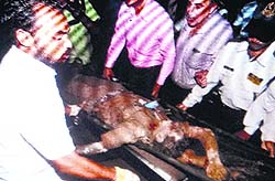 An injured being shifted to the GMSH, Sector 16, Chandigarh