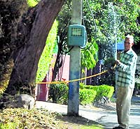 A helper waters the plants outside the residences of two senior adminisitrative officials at Sector 6 in Panchkula