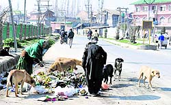 A ragpicker collects scrap from the garbage scattered on the roadside in Srinagar on Sunday
