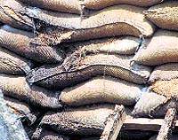 A major chunk of the wheat stocked in godowns decayed without proper maintenance in the last two years