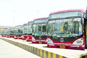The fleet of City Bus Service