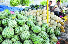 A vendor sells watermelons and melons alongside a road in Ludhiana