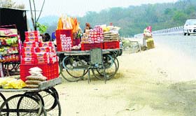 Roadside vends with monkey feed at the Chak Sadhu bridge on the Una-Hoshiarpur road.