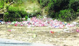 Heaps of bread wrappers and other non-degradable material lie in the Bankhandi area of the Una-Hoshiarpur road.