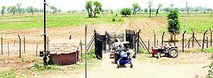 While farmers are being allowed to bring dry fodder from the fields across the fence in Ajnala, the BSF has stopped them from tilling the land