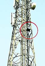 Rajwinder Singh climbs a mobile phone tower at Mahmadpur village in Sangrur district on Tuesday