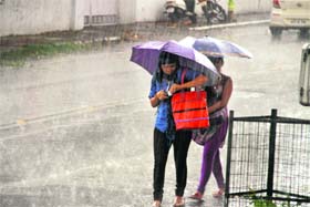 Cool spell: Rain brought down the mercury in Dehradun on Wednesday