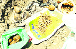  the hand grenades and cartridges of AK-47 rifle that were found dumped in the pond