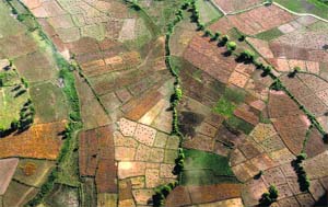 An aerial view of parched fields in Jammu. Farmers are waiting for rains to sow paddy.