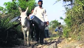 villagers who have shifted to camps at Agampur, near Anandpur Sahib, along with their cattle, due to shortage of water in their area.
