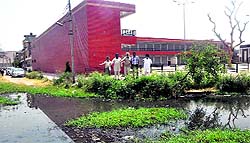 Waterlogging near a market in one of the affected sectors in Mohali