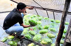 A vendor sells watermelon near Ranvir canal in Jammu