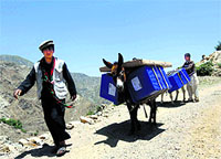 Afghan men lead donkeys loaded with ballot boxes and other election material to be transported to polling stations in Shutul, Panjshir province, on Friday.