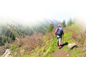 Great Himalayan National Park area in Kullu