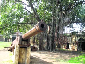 A cannon at Patiala fort