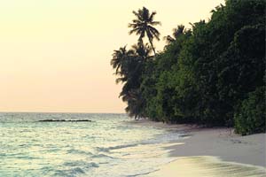 Most resort islands in the Baa atoll are connected to Male International Airport through amphibian seaplanes
