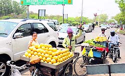 Vendors encroaching upon the Chandigarh-Ambala highway at the exit point of Chandigarh are cause of various mishaps as people suddenly stop their vehicles which drivers of vehicles behind fail to notice on time resulting in collision