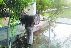 Dirty water accumulates around a tubewell in Shaheed Bhagat Singh Nagar Colony, Pakhowal Road.