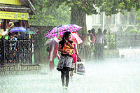 People walk with umbrellas during heavy rain in Shimla on Tuesday.