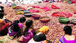Workers sort onions at a wholesale market in Vashi, Navi Mumbai, on Tuesday