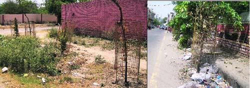 The pathetic condition of some planted saplings with tree guards in different areas of Bathinda.