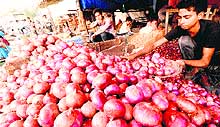 Onion on sale in the Sector 26 market in Chandigarh