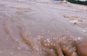 The water level in the Ganga increased in Haridwar on Thursday following heavy rain in the upper region of Garhwal. 