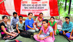 Students of Fishery College hold a strike outside gate of the GADVASU campus in Ludhiana. 