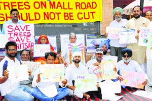 Members of various NGOs and senior BJP leader Laxmi Kanta Chawla begin an indefinite Harit Satyagrah outside the Hall Gate in Amritsar on Friday.