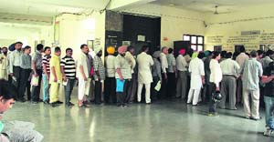 Applicants wait in a long queue for getting their driving licences renewed in Jalandhar on Friday. 