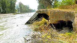 Most canals are in a poor state, like the distributary of Shah Nehar Canal in Hoshiarpur