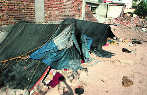 Shanties lying at a vacant plot at Sector 11 in Panchkula on Sunday.