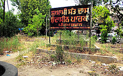 The deplorable state of the green cover near Patel Chowk in Jalandhar