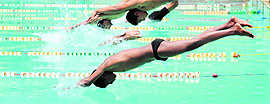 Swimmers in action during the 39th Junior Punjab State Swimming and Water Polo Championship in Ludhiana on Sunday