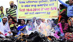 Teachers burn an effigy of the Punjab Government at Phase VII in Mohali on Monday