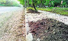 Waste lies unattended outside road gullies in Chandigarh