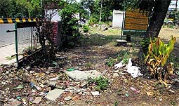 n area cleared of trees near BSF Colony in Jalandhar