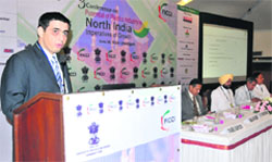Charu Kapoor, principal, TSMG, addresses the delegates during the conference on Potential of plastic processing industry in North India held at Mount View hotel, Sector 10, in Chandigarh, on Tuesday. Tribune Photo: S.Chandan