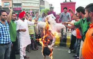 Congress workers  burn an effigy of PM Narendra Modi during a protest against the Central Governments move to hike the passenger train fare in Amritsar on Wednesday.