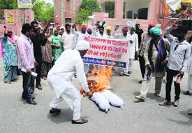 Members of the CPI (ML) Liberation, Punjab, burn the effigy of Prime Minister Narendra Modi and Chief Minister Parkash Singh Badal against the hike in rail and bus fares in Bathinda on Wednesday.