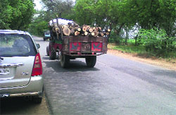 A tractor-trailer loaded with wood on Bathinda-Mansa Road after heavy rains and tree felling. Photo by writer