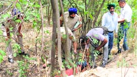 Police officials inspect the site where the body of Ravi Kumar was found in Dhanas forest of Chandigarh on Thursday.