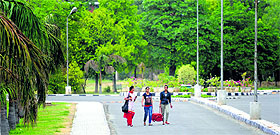 Girls walk past a conopy of trees in Ludhiana.