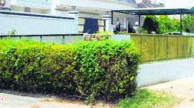 Encroachment in a green belt by a resident of a colony in Amritsar