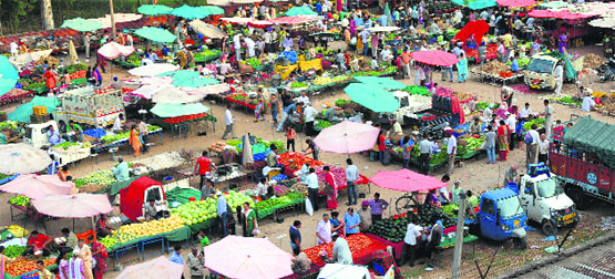A view of the apni mandi at Sector 15 in Chandigarh. Tribune Photo: S Chandan